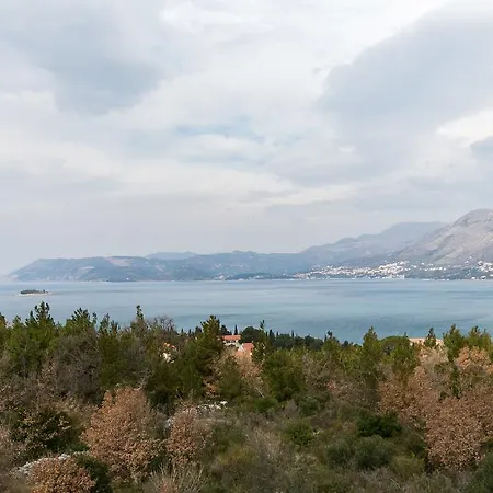 Oliva * Cavtat